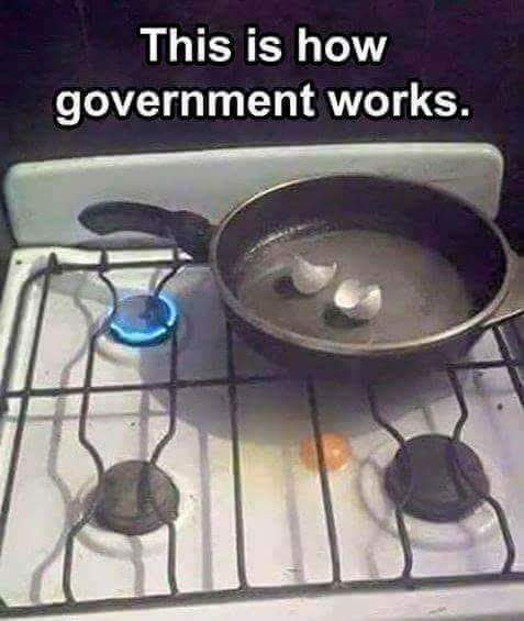 This is how government works - Cooking Analogy