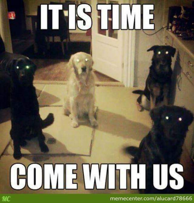 IT IS TIME - COME WITH US