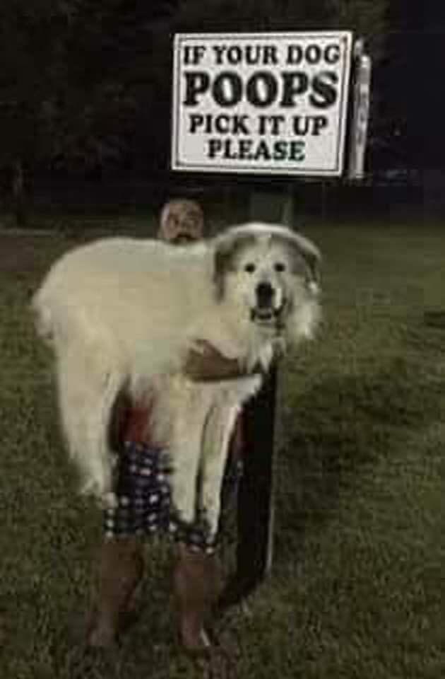 Dog Owner Following the 'Pick It Up' Sign
