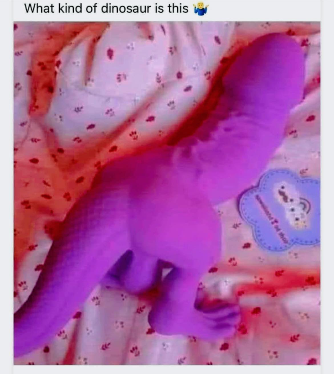 What kind of dinosaur is this?
