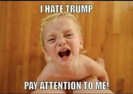 Child's Outburst: 'I HATE TRUMP, PAY ATTENTION TO ME!'