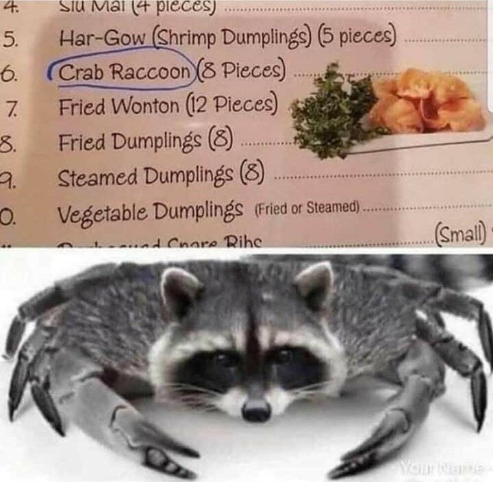 Menu with Crab Raccoon and Raccoon Image