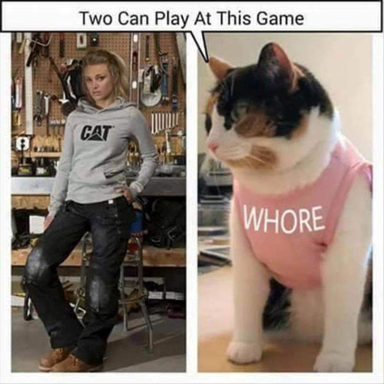 Two Can Play At This Game: Cats in Humorous Outfits