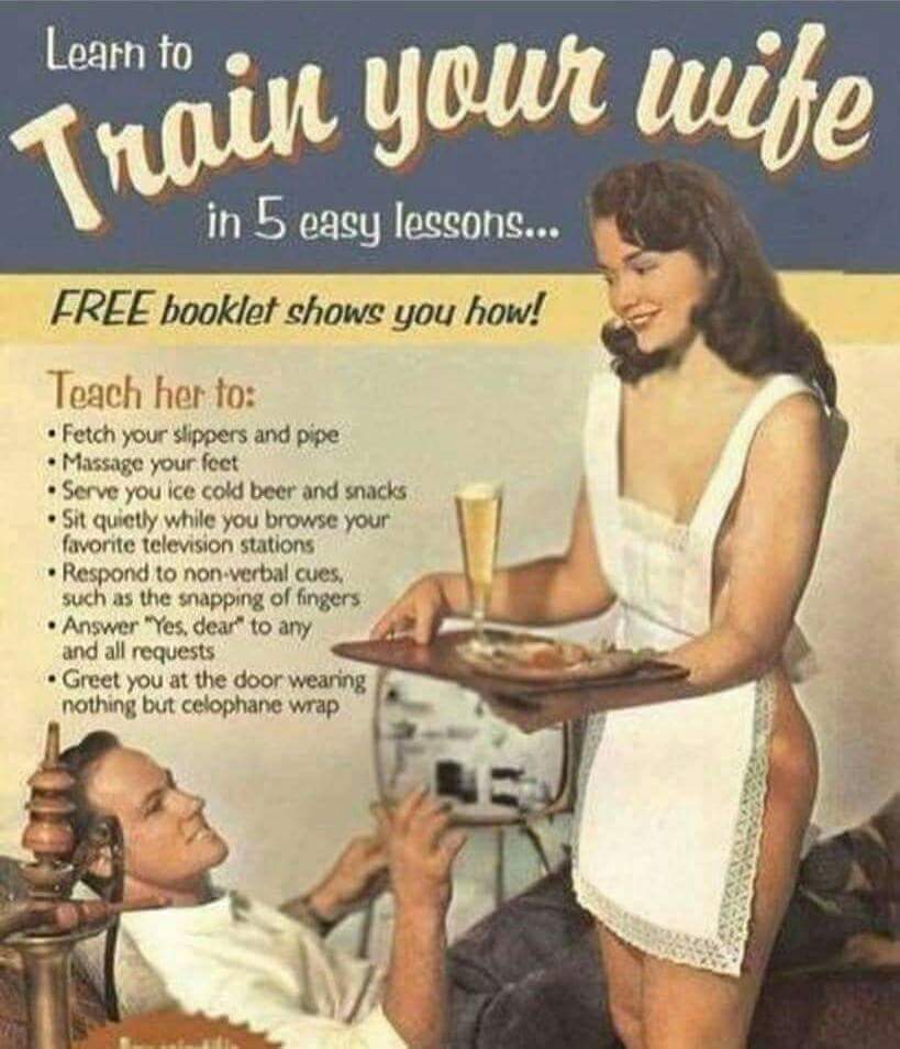 Learn to Train Your Wife in 5 Easy Lessons