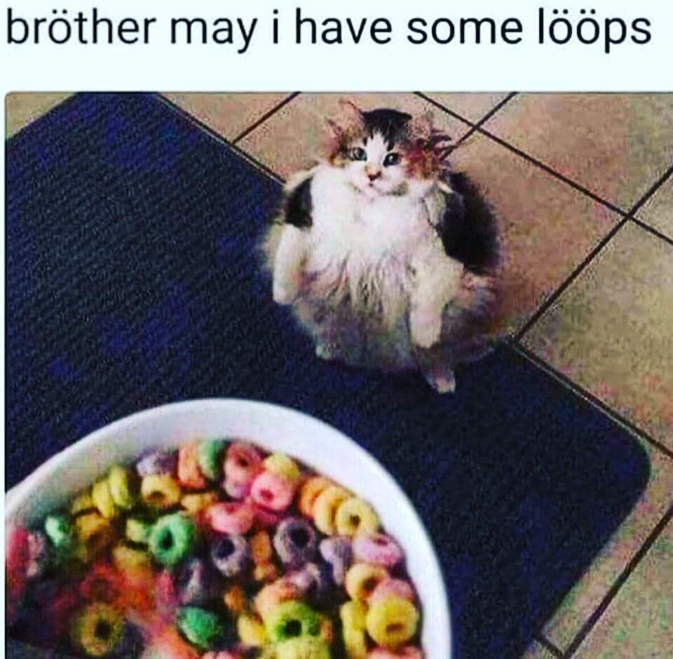 Brother May I Have Some Loops?
