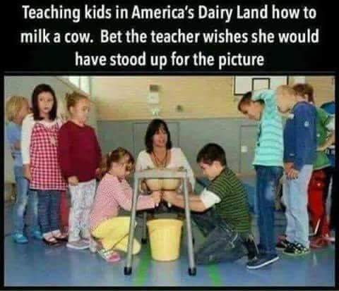 Teaching Kids to Milk a Cow in America's Dairy Land