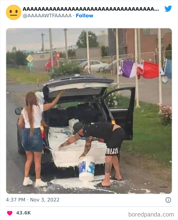 People Pouring Milk from a Car Trunk