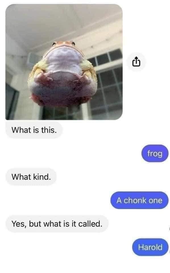 Funny Text Exchange About a Chonky Frog Named Harold