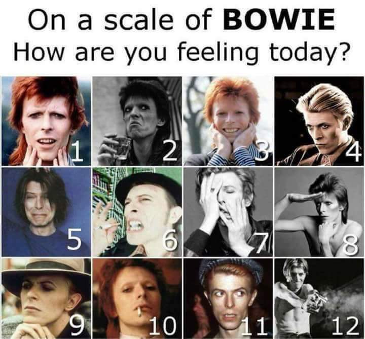 On a scale of BOWIE: How are you feeling today?