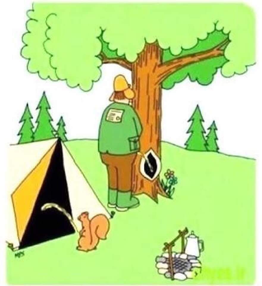 Camper and Squirrel by a Tree