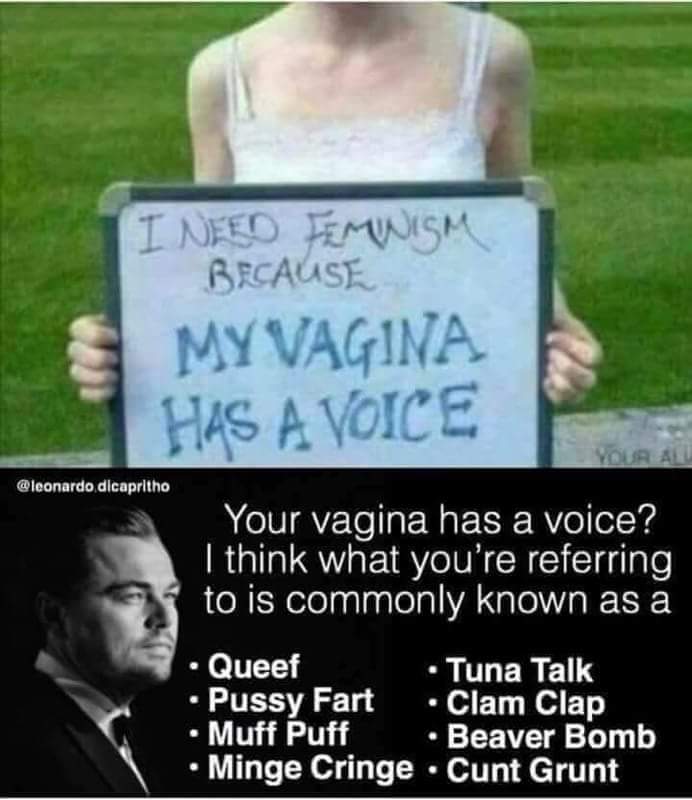 Feminism Sign and Humorous Response