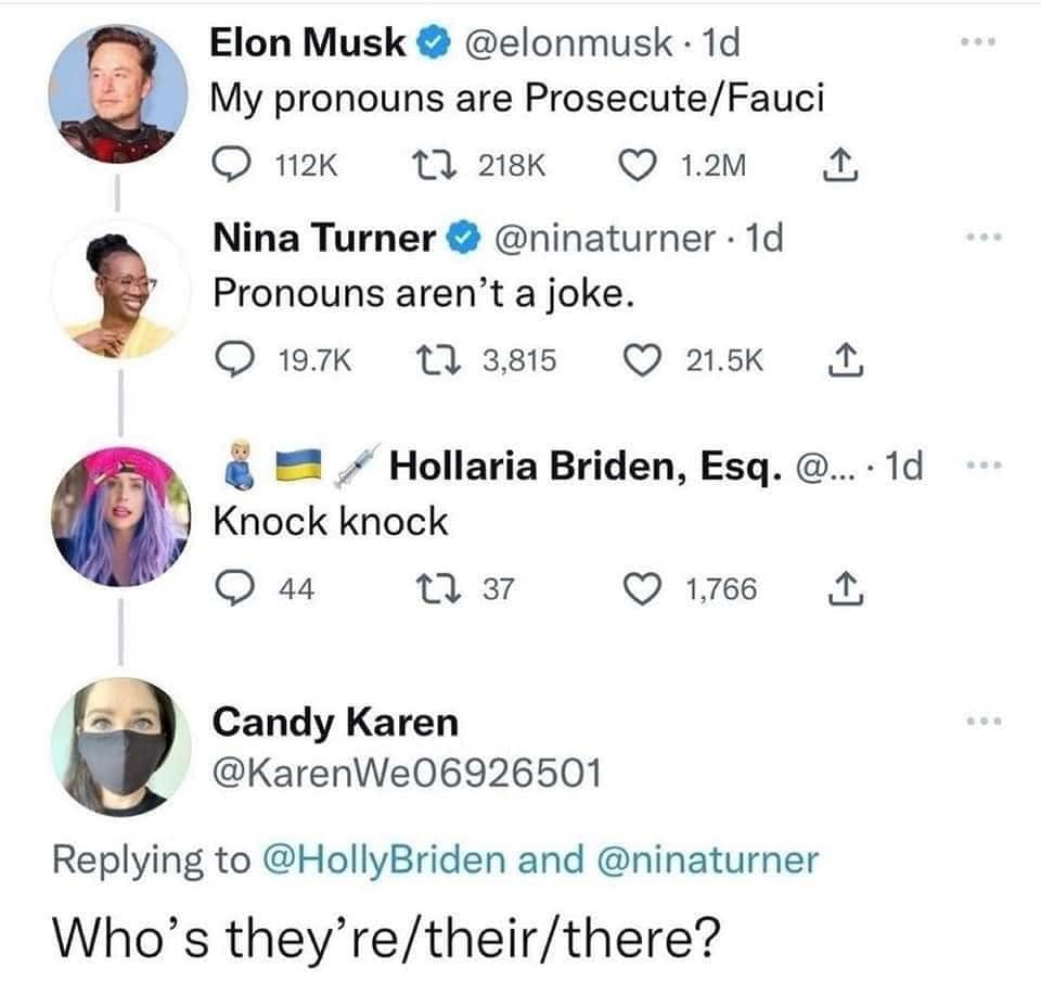 Twitter Thread on Pronouns Involving Elon Musk, Nina Turner, and Others