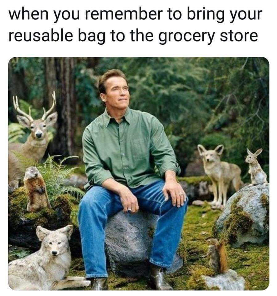 When You Remember to Bring Your Reusable Bag to the Grocery Store