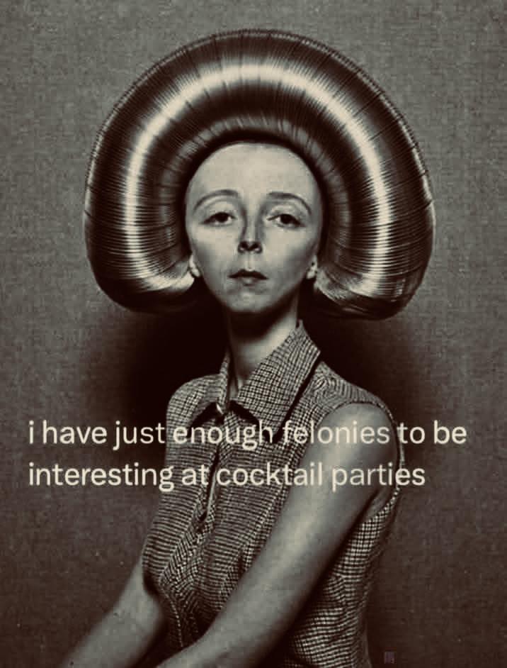 I Have Just Enough Felonies to Be Interesting at Cocktail Parties