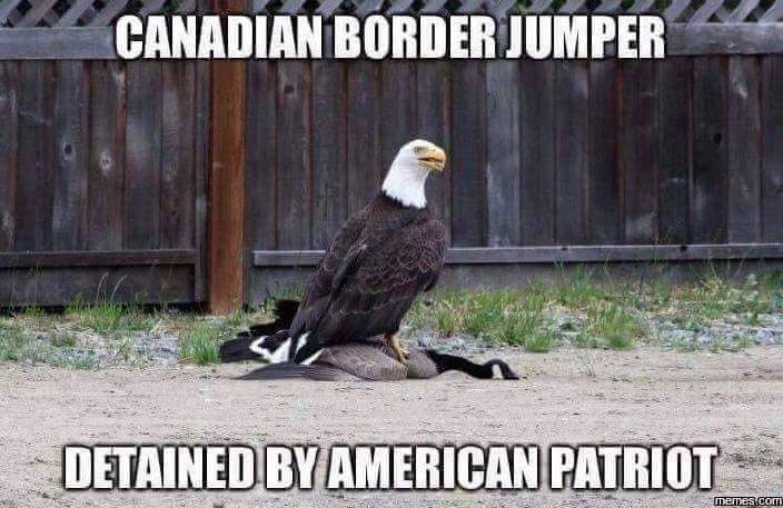 Canadian Border Jumper Detained by American Patriot