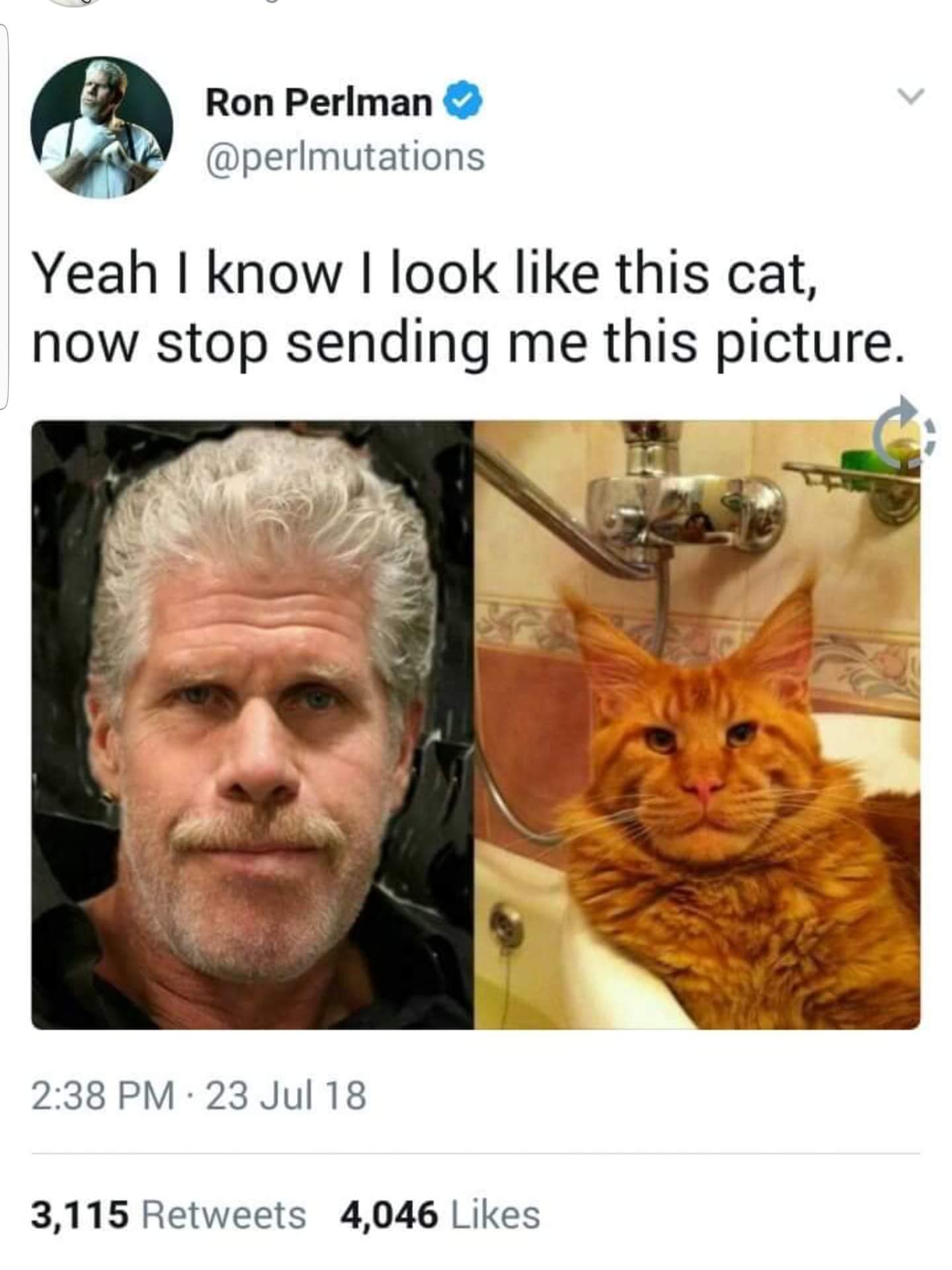 Ron Perlman's Tweet About Looking Like a Cat