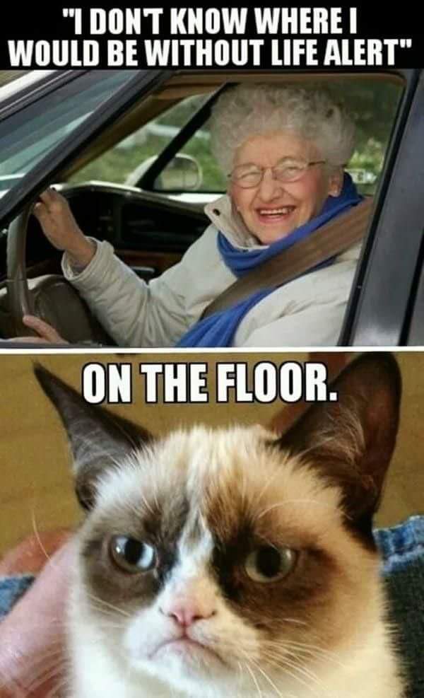 Life Alert and Grumpy Cat Meme
