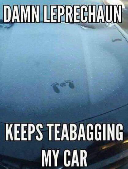 Damn Leprechaun Keeps Teabagging My Car