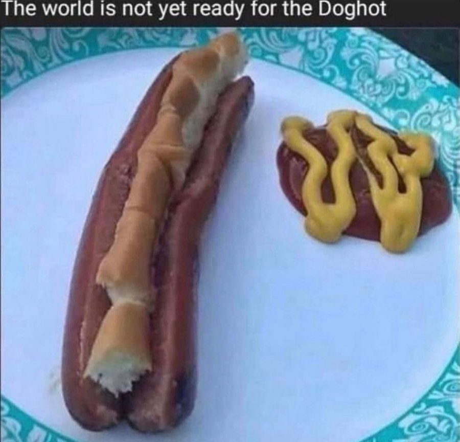 The World is Not Yet Ready for the Doghot